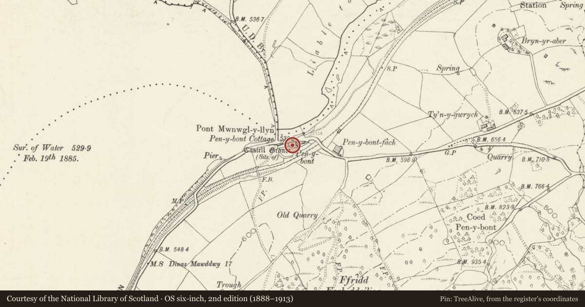 Ordnance Survey six-inch map, 2nd edition (1888–1913) covering the location of Castell Gronw Castle Mound, Llangywer, Gwynedd, with a pin at the register's coordinates