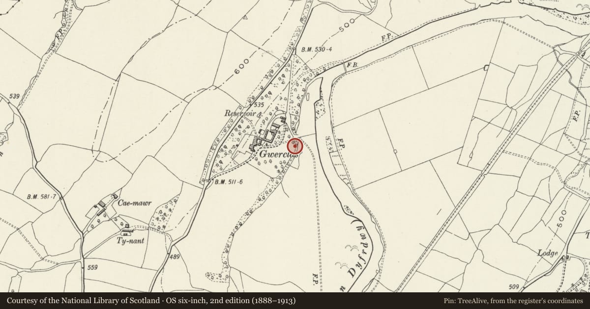 Ordnance Survey six-inch map, 2nd edition (1888–1913) covering the location of Gwerclas Mound, Cynwyd, Denbighshire, with a pin at the register's coordinates