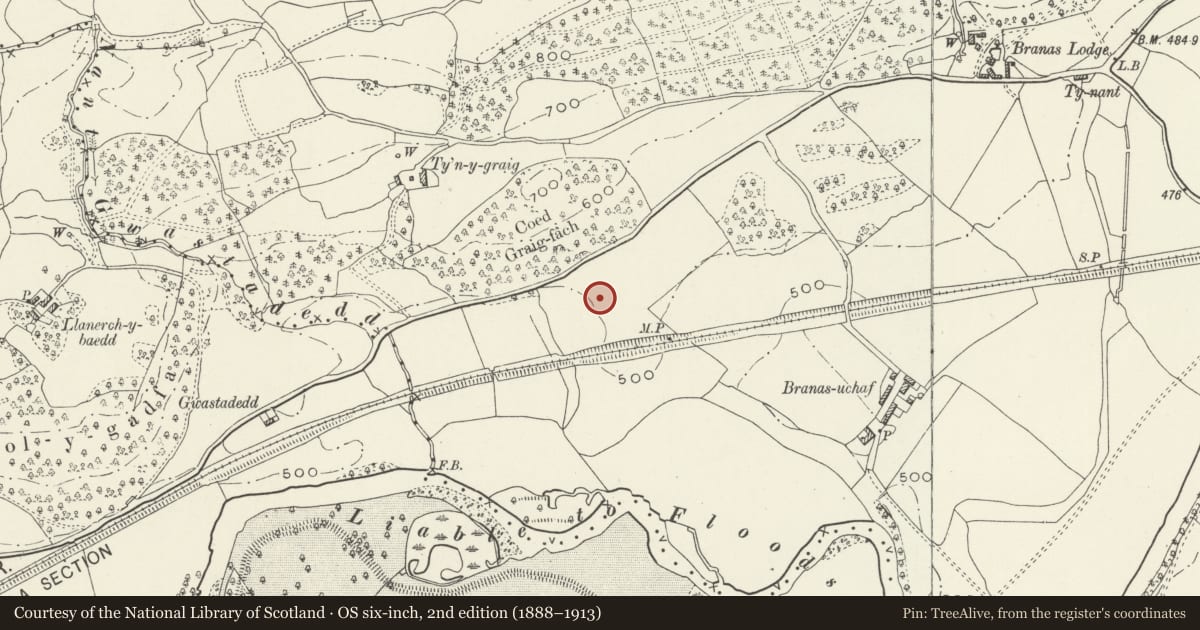 Ordnance Survey six-inch map, 2nd edition (1888–1913) covering the location of Branas-Uchaf Round Barrow, Llandrillo, Denbighshire, with a pin at the register's coordinates