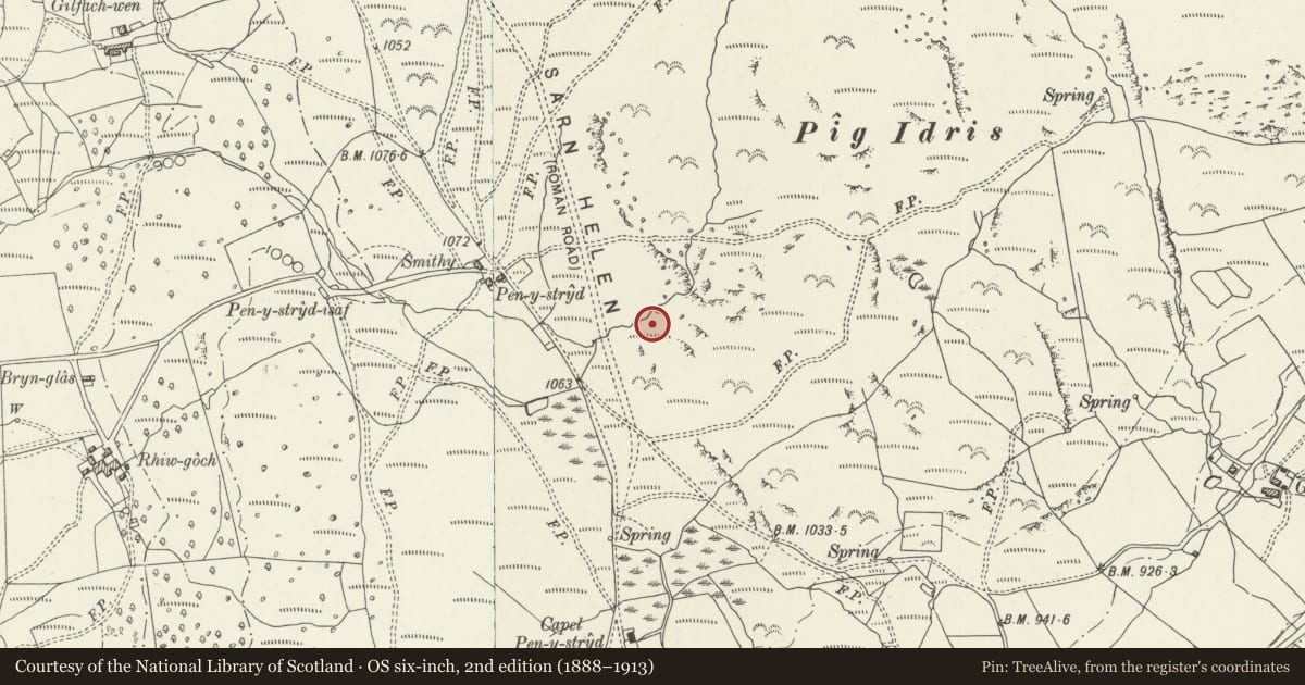 Ordnance Survey six-inch map, 2nd edition (1888–1913) covering the location of Roman Kilns 225m SE of Pen-y-Stryd, Trawsfynydd, Gwynedd, with a pin at the register's coordinates