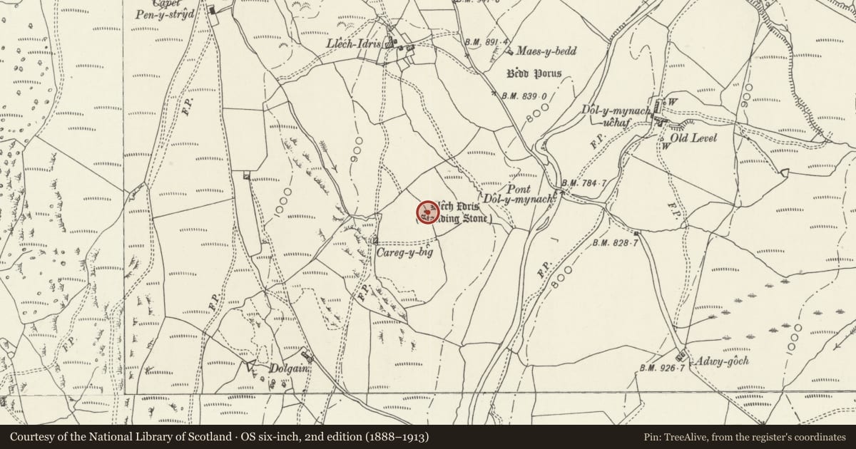 Ordnance Survey six-inch map, 2nd edition (1888–1913) covering the location of Llech Idris, Trawsfynydd, Gwynedd, with a pin at the register's coordinates