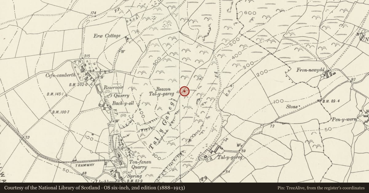 Ordnance Survey six-inch map, 2nd edition (1888–1913) covering the location of Tal-y-Gareg Camp, Llangelynin, Gwynedd, with a pin at the register's coordinates