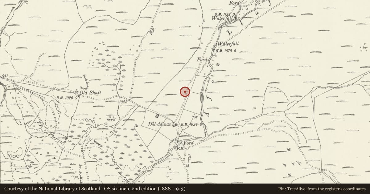 Ordnance Survey six-inch map, 2nd edition (1888–1913) covering the location of Dol-ddinas Roman Earthworks, Trawsfynydd, Gwynedd, with a pin at the register's coordinates