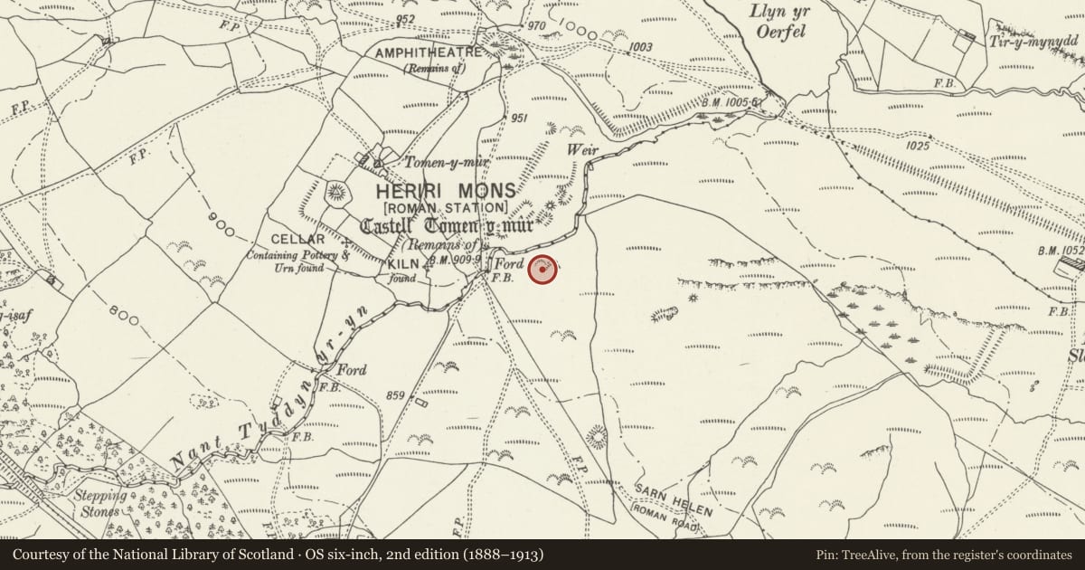 Ordnance Survey six-inch map, 2nd edition (1888–1913) covering the location of Tomen y Mur, Maentwrog, Gwynedd, with a pin at the register's coordinates