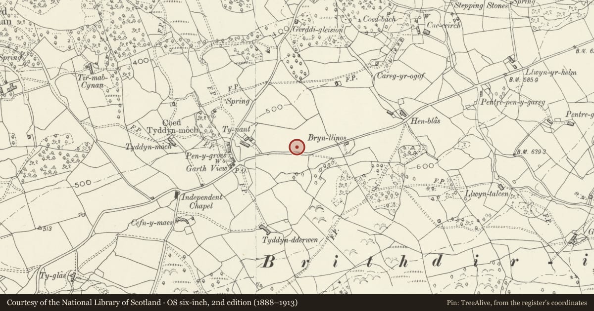 Ordnance Survey six-inch map, 2nd edition (1888–1913) covering the location of Brithdir Roman Fort, Brithdir and Llanfachreth, Gwynedd, with a pin at the register's coordinates
