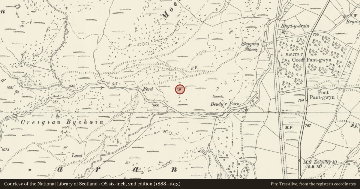 Ordnance Survey six-inch map, 2nd edition (1888–1913) covering the location of Cairn 225m S of Moel Caws, Llanuwchllyn, Gwynedd, with a pin at the register's coordinates