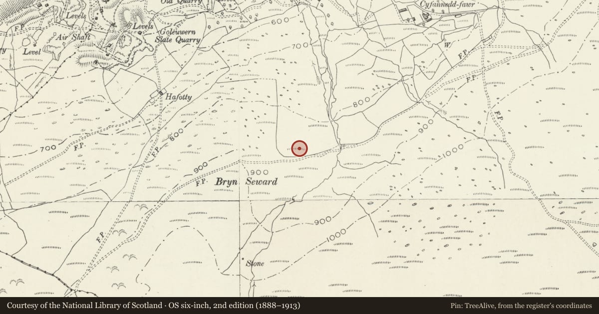 Ordnance Survey six-inch map, 2nd edition (1888–1913) covering the location of Bryn Seward Standing Stones and Field System with Associated Cairns, Arthog, Gwynedd, with a pin at the register's coordinates