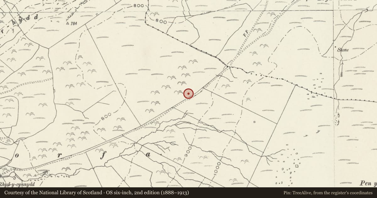 Ordnance Survey six-inch map, 2nd edition (1888–1913) covering the location of Group of Standing Stones 810m South West of Bryn Seward, Llangelynin, Gwynedd, with a pin at the register's coordinates