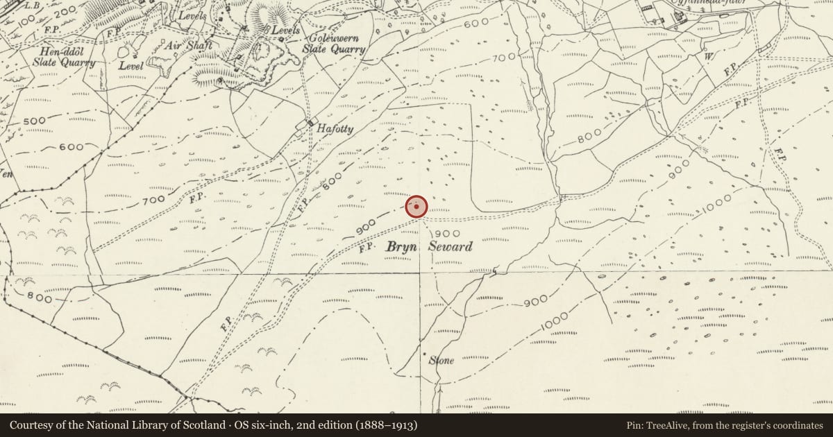 Ordnance Survey six-inch map, 2nd edition (1888–1913) covering the location of Hut Circle (and Early Field System) on Bryn Seward, Arthog, Gwynedd, with a pin at the register's coordinates