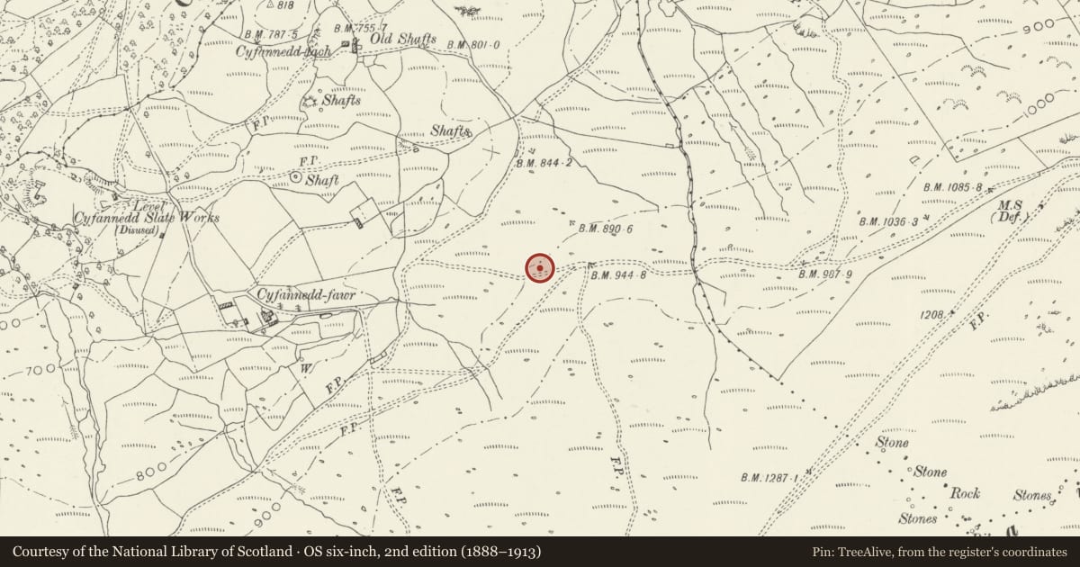 Ordnance Survey six-inch map, 2nd edition (1888–1913) covering the location of Enclosure & Settlement 400m East of Cyfannedd Fawr, Arthog, Gwynedd, with a pin at the register's coordinates