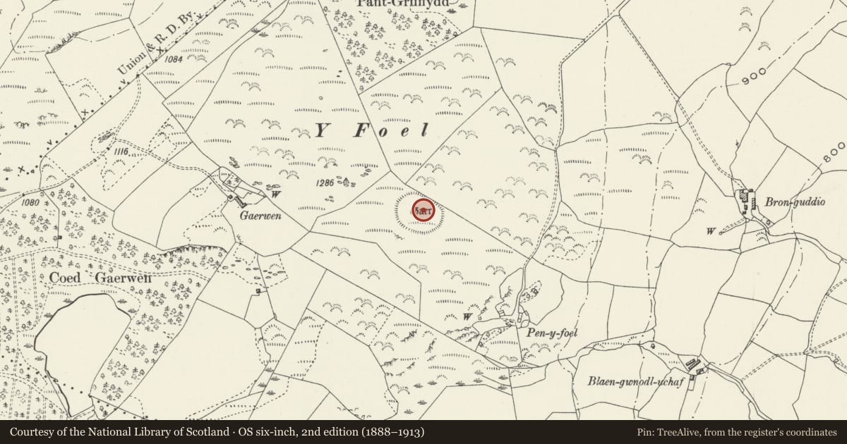Ordnance Survey six-inch map, 2nd edition (1888–1913) covering the location of Y Gaerwen Enclosure, Llangar, Cynwyd, Denbighshire, with a pin at the register's coordinates