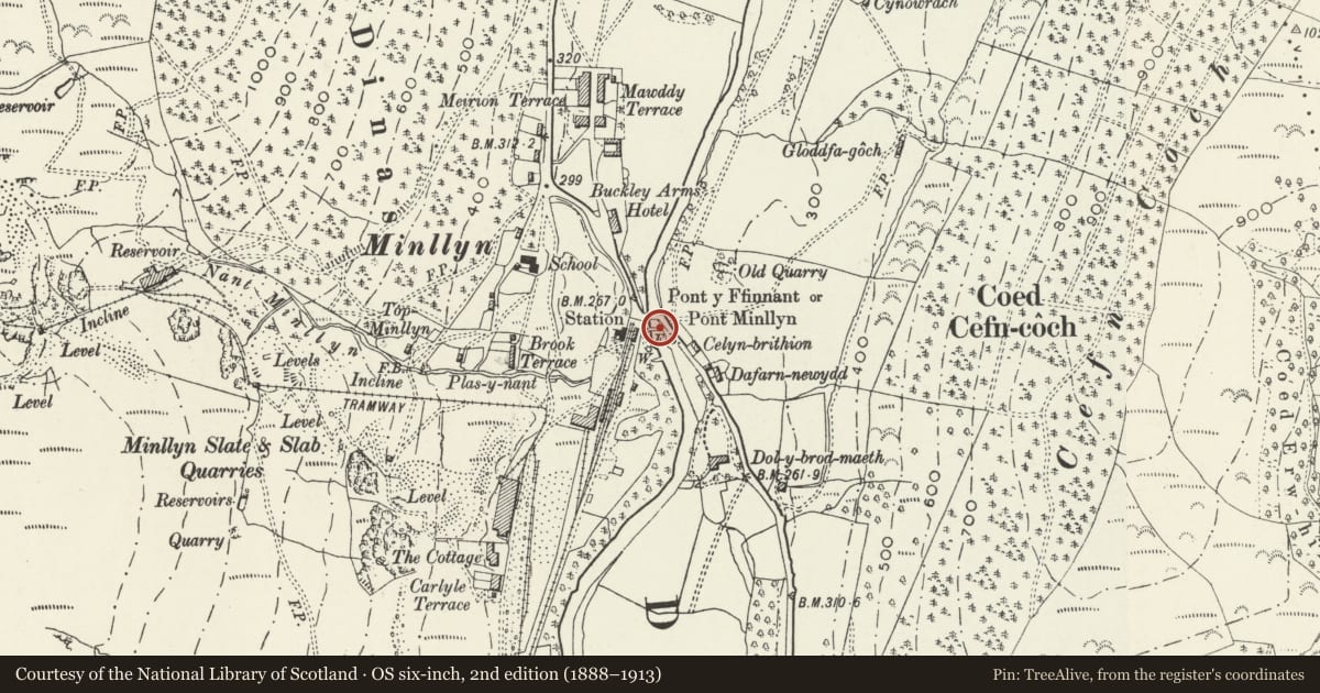 Ordnance Survey six-inch map, 2nd edition (1888–1913) covering the location of Pont Minllyn, Mawddwy, Gwynedd, with a pin at the register's coordinates