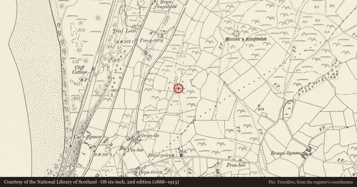 Ordnance Survey six-inch map, 2nd edition (1888–1913) covering the location of Groes Las Prehistoric Settlement & Field System, Harlech, Gwynedd, with a pin at the register's coordinates
