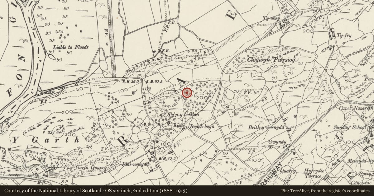 Ordnance Survey six-inch map, 2nd edition (1888–1913) covering the location of Ty'n y Berllan Settlement, Penrhyndeudraeth, Gwynedd, with a pin at the register's coordinates