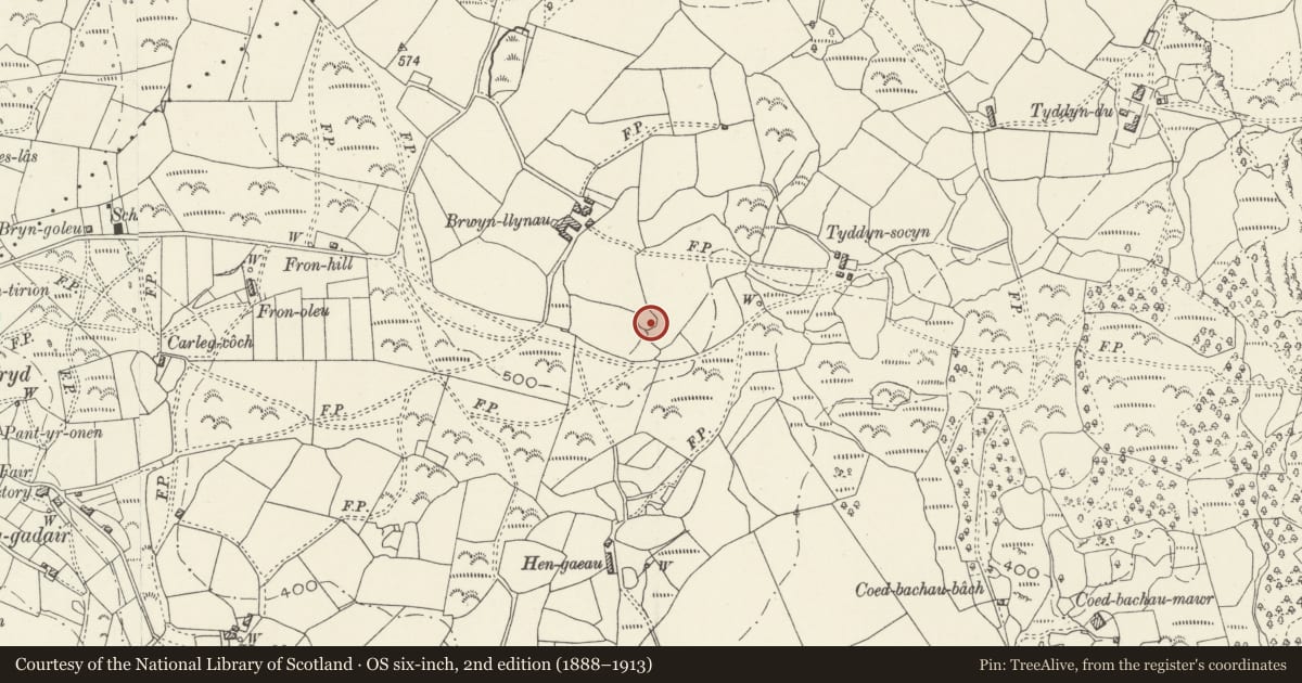 Ordnance Survey six-inch map, 2nd edition (1888–1913) covering the location of Brwyn-Llynau Enclosed Settlement, Llanfair, Gwynedd, with a pin at the register's coordinates