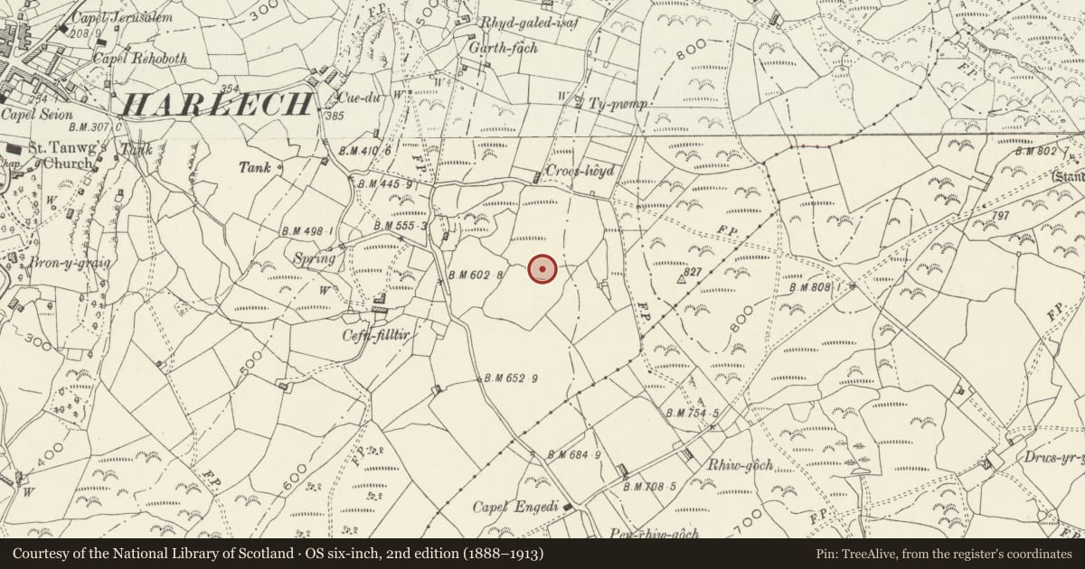 Ordnance Survey six-inch map, 2nd edition (1888–1913) covering the location of Cefnfilltir Enclosed Homestead, Harlech, Gwynedd, with a pin at the register's coordinates