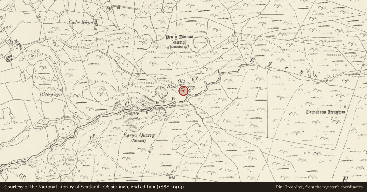 Ordnance Survey six-inch map, 2nd edition (1888–1913) covering the location of Ceunant Egryn Enclosed Settlement, Dyffryn Ardudwy, Gwynedd, with a pin at the register's coordinates