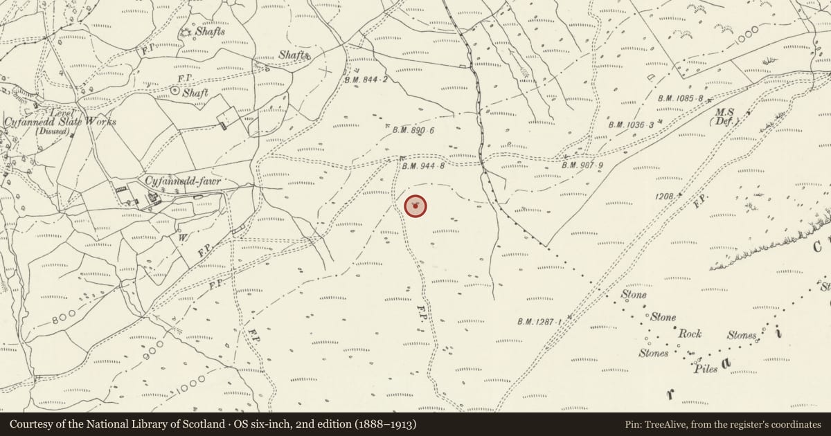 Ordnance Survey six-inch map, 2nd edition (1888–1913) covering the location of Round Hut and Cairns on NW Slope of Braich Ddu, Arthog, Gwynedd, with a pin at the register's coordinates