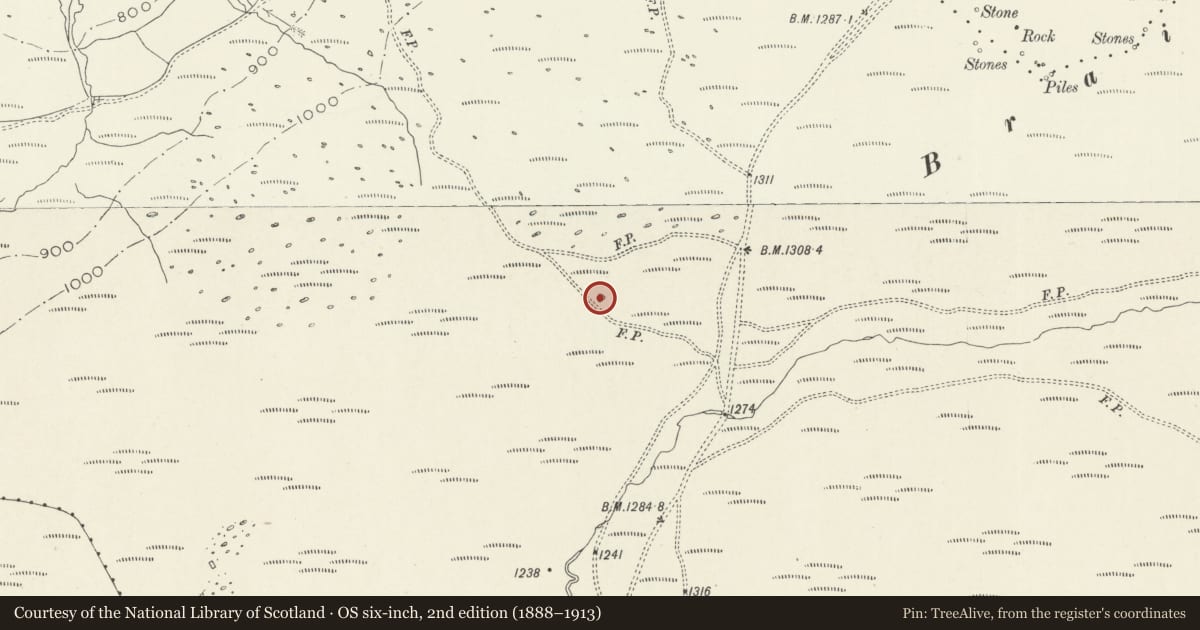 Ordnance Survey six-inch map, 2nd edition (1888–1913) covering the location of Bedd-y-Brenin Round Cairn, Arthog, Gwynedd, with a pin at the register's coordinates