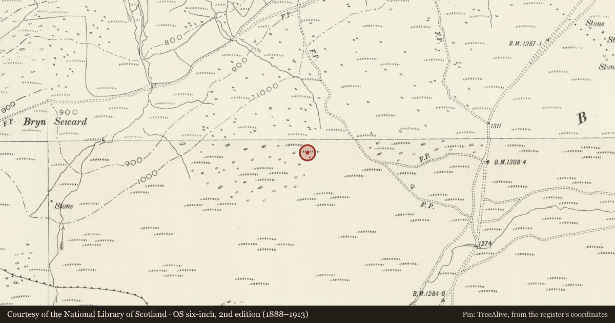 Ordnance Survey six-inch map, 2nd edition (1888–1913) covering the location of Hut Group 530m SSE of Cyfannedd Fawr, Arthog, Gwynedd, with a pin at the register's coordinates