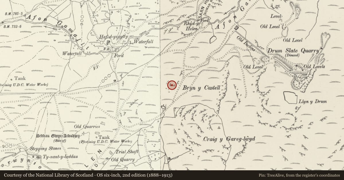 Ordnance Survey six-inch map, 2nd edition (1888–1913) covering the location of Bryn-y-Castell Hillfort, Ffestiniog, Gwynedd, with a pin at the register's coordinates