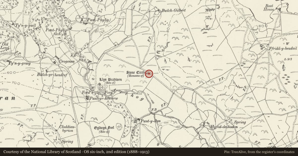 Ordnance Survey six-inch map, 2nd edition (1888–1913) covering the location of Arthog Standing Stones, Gwynedd, with a pin at the register's coordinates