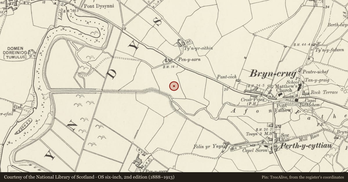 Ordnance Survey six-inch map, 2nd edition (1888–1913) covering the location of Crop marks (revealed by Aerial photography) SE of Pen-y-Sarn, Bryn-Crug, Gwynedd, with a pin at the register's coordinates