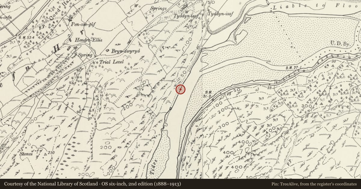 Ordnance Survey six-inch map, 2nd edition (1888–1913) covering the location of Cei Tyddyn Isa, Penrhyndeudraeth, Gwynedd, with a pin at the register's coordinates