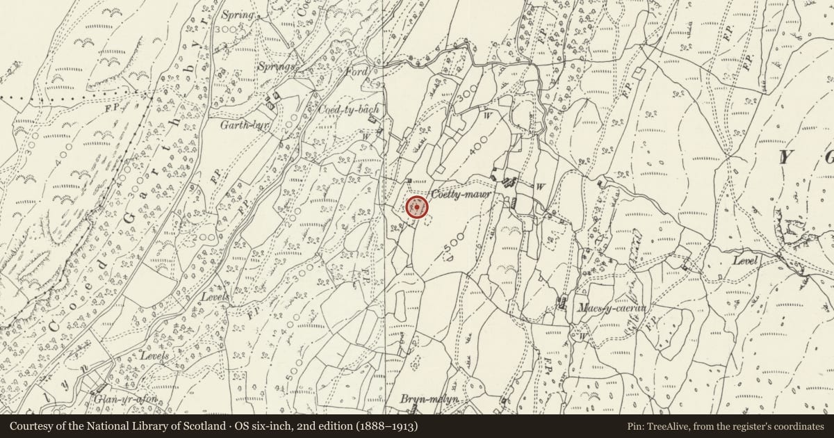 Ordnance Survey six-inch map, 2nd edition (1888–1913) covering the location of Coety Bach Homestead, Talsarnau, Gwynedd, with a pin at the register's coordinates