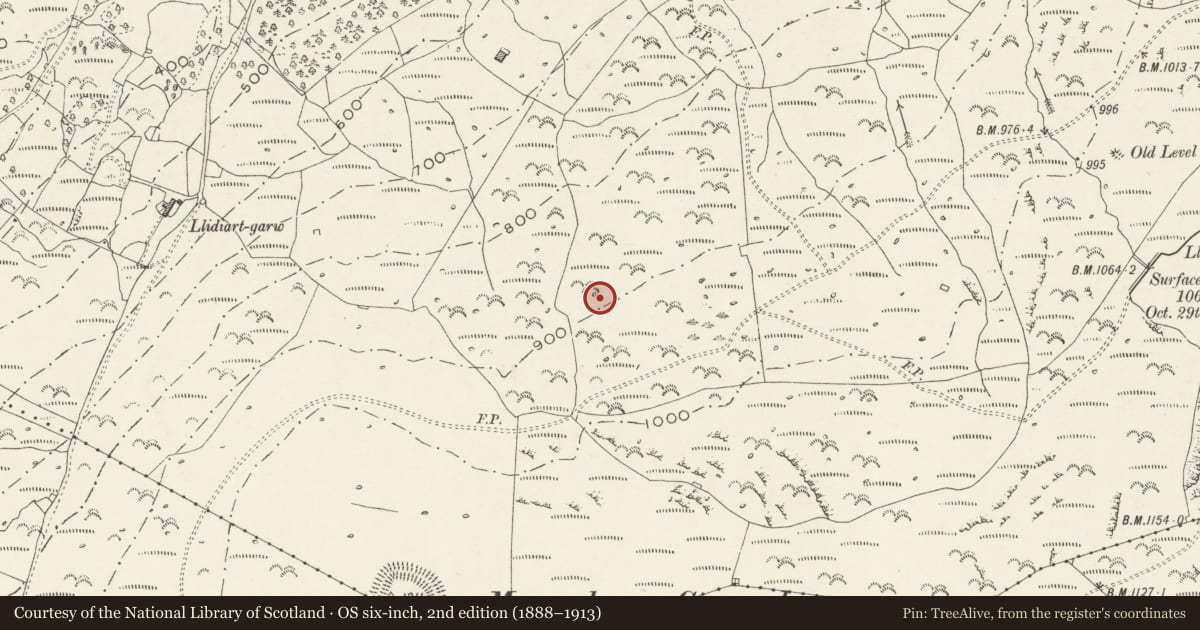 Ordnance Survey six-inch map, 2nd edition (1888–1913) covering the location of Ffridd Fedw Round Hut, Enclosure, Ancient Fields and Kerb Cairn, Talsarnau, Gwynedd, with a pin at the register's coordinates
