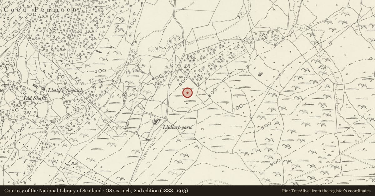 Ordnance Survey six-inch map, 2nd edition (1888–1913) covering the location of Llidiart-Garw Platform House and Paddock, Talsarnau, Gwynedd, with a pin at the register's coordinates