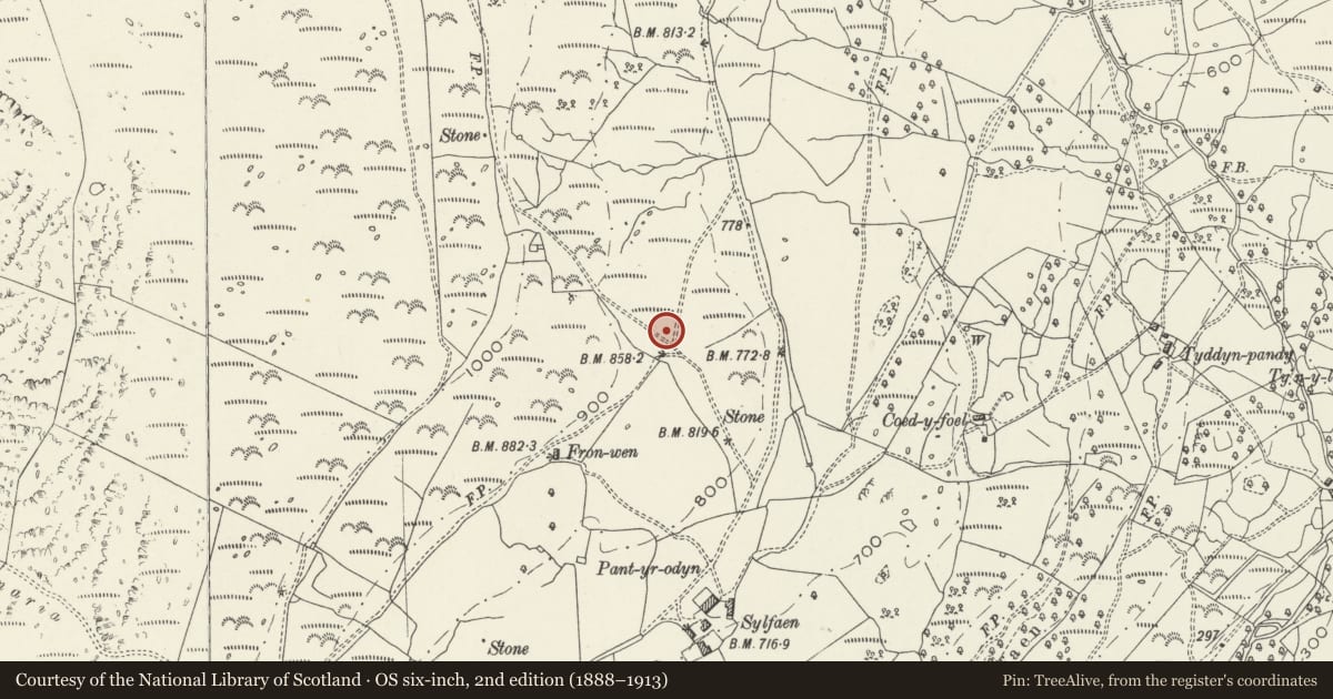 Ordnance Survey six-inch map, 2nd edition (1888–1913) covering the location of Cerrig Arthur Stone Circle, Barmouth, Gwynedd, with a pin at the register's coordinates