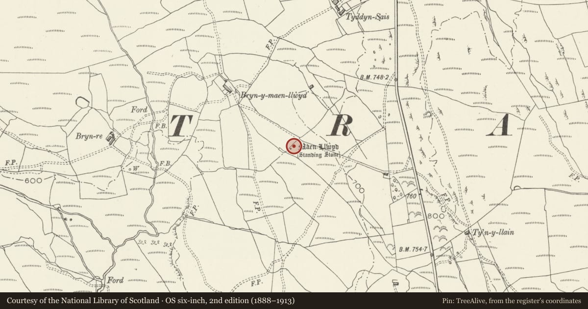 Ordnance Survey six-inch map, 2nd edition (1888–1913) covering the location of Maen Llwyd Standing Stones, Trawsfynydd, Gwynedd, with a pin at the register's coordinates