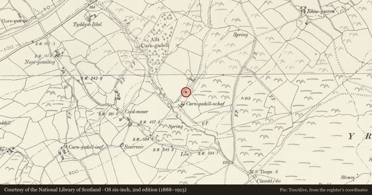 Ordnance Survey six-inch map, 2nd edition (1888–1913) covering the location of Corn Drying Kiln Near Carn-Gadell Uchaf, Llangelynin, Gwynedd, with a pin at the register's coordinates