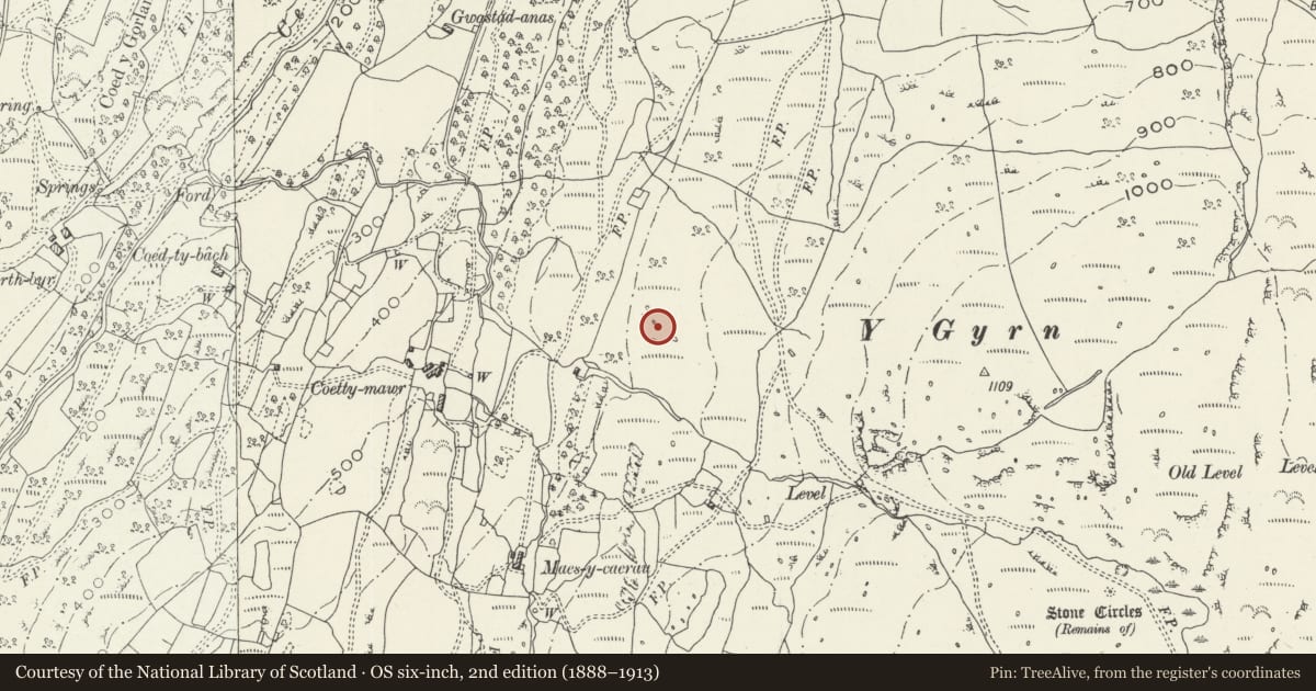 Ordnance Survey six-inch map, 2nd edition (1888–1913) covering the location of Maes y Caerau Homestead, Talsarnau, Gwynedd, with a pin at the register's coordinates