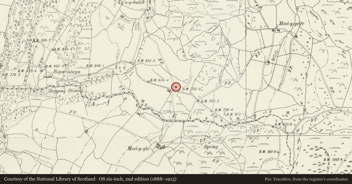 Ordnance Survey six-inch map, 2nd edition (1888–1913) covering the location of Moel y Glo Homestead & Burnt Mound, Talsarnau, Gwynedd, with a pin at the register's coordinates
