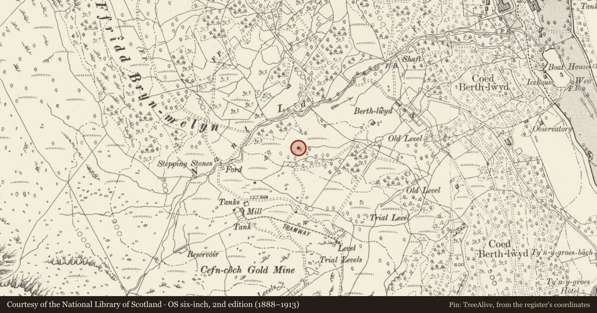 Ordnance Survey six-inch map, 2nd edition (1888–1913) covering the location of Berth-Llwyd & Cefn Coch Gold Mining Complex, Ganllwyd, Gwynedd, with a pin at the register's coordinates
