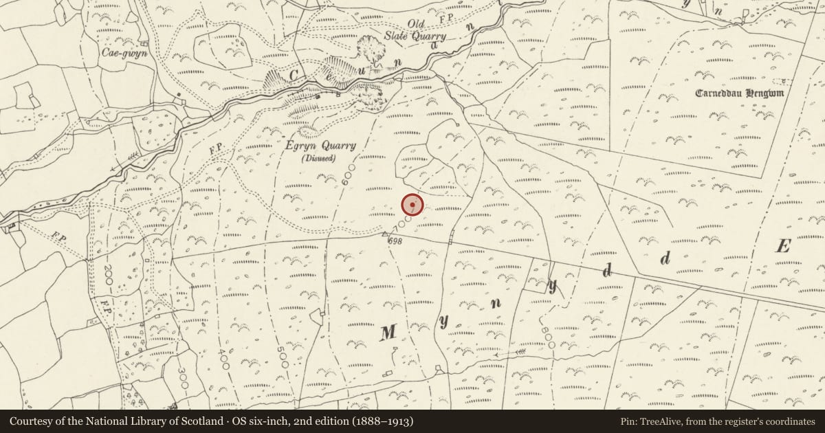 Ordnance Survey six-inch map, 2nd edition (1888–1913) covering the location of Settlement & Fields Systems above Egryn Abbey, Dyffryn Ardudwy, Gwynedd, with a pin at the register's coordinates