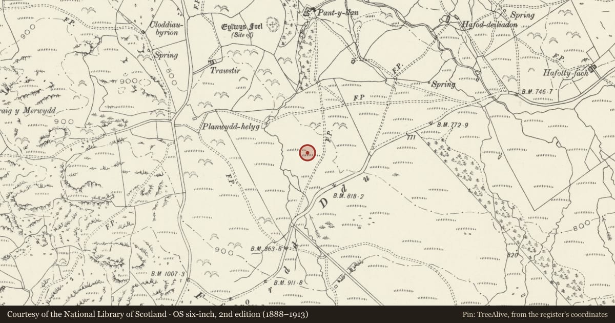 Ordnance Survey six-inch map, 2nd edition (1888–1913) covering the location of Waen Bant Standing Stone, Arthog, Gwynedd, with a pin at the register's coordinates