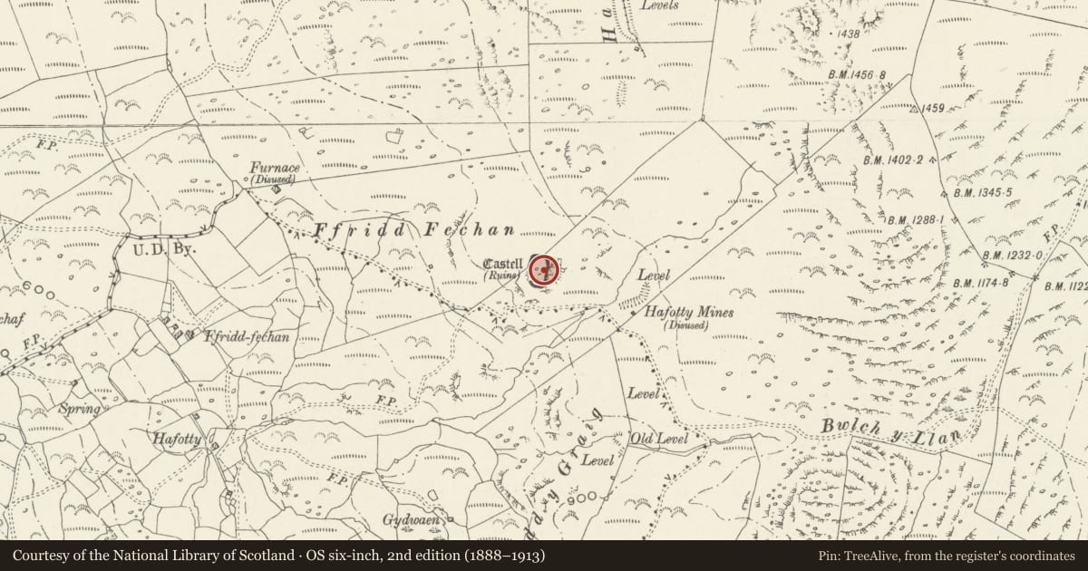 Ordnance Survey six-inch map, 2nd edition (1888–1913) covering the location of Ffridd Fechan Fort, Barmouth, Gwynedd, with a pin at the register's coordinates