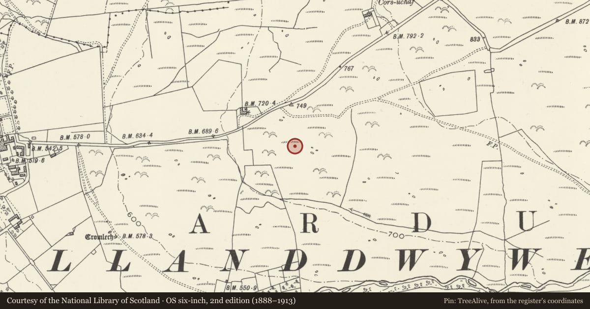 Ordnance Survey six-inch map, 2nd edition (1888–1913) covering the location of Cors-y-Gedol Settlements & Field System, Dyffryn Ardudwy, Gwynedd, with a pin at the register's coordinates