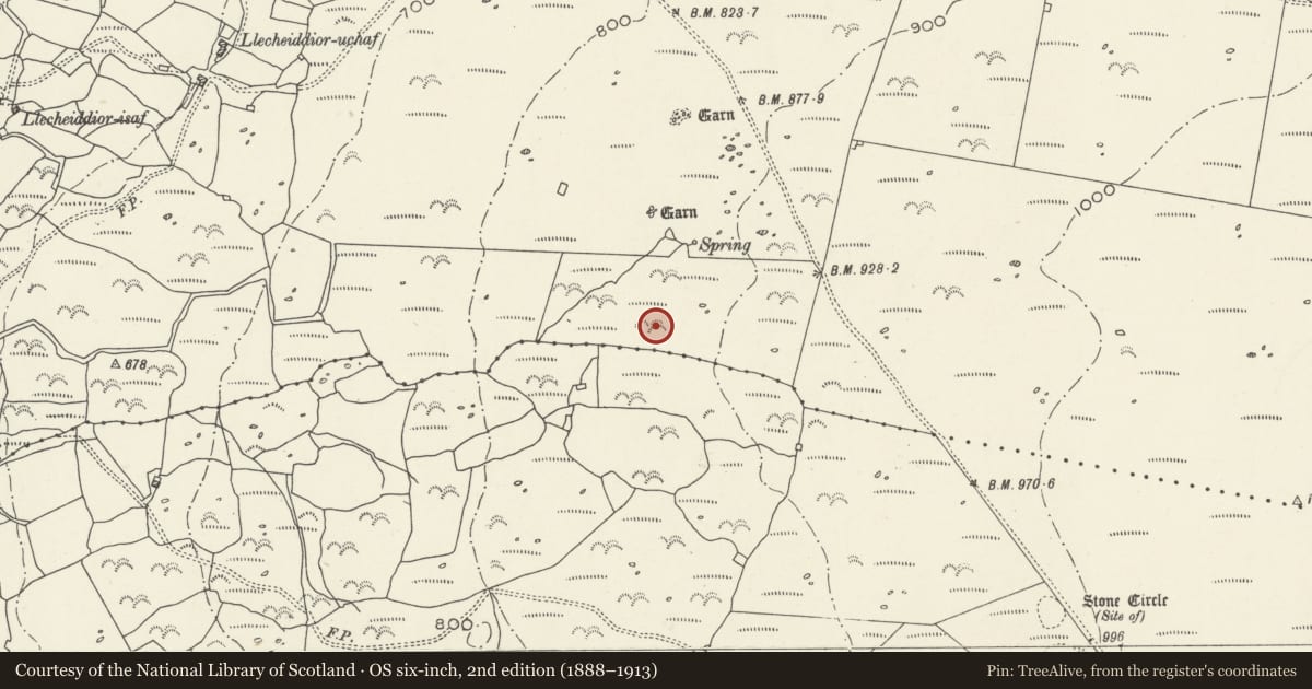 Ordnance Survey six-inch map, 2nd edition (1888–1913) covering the location of Llecheiddior Stone Circle, Dyffryn Ardudwy, Gwynedd, with a pin at the register's coordinates