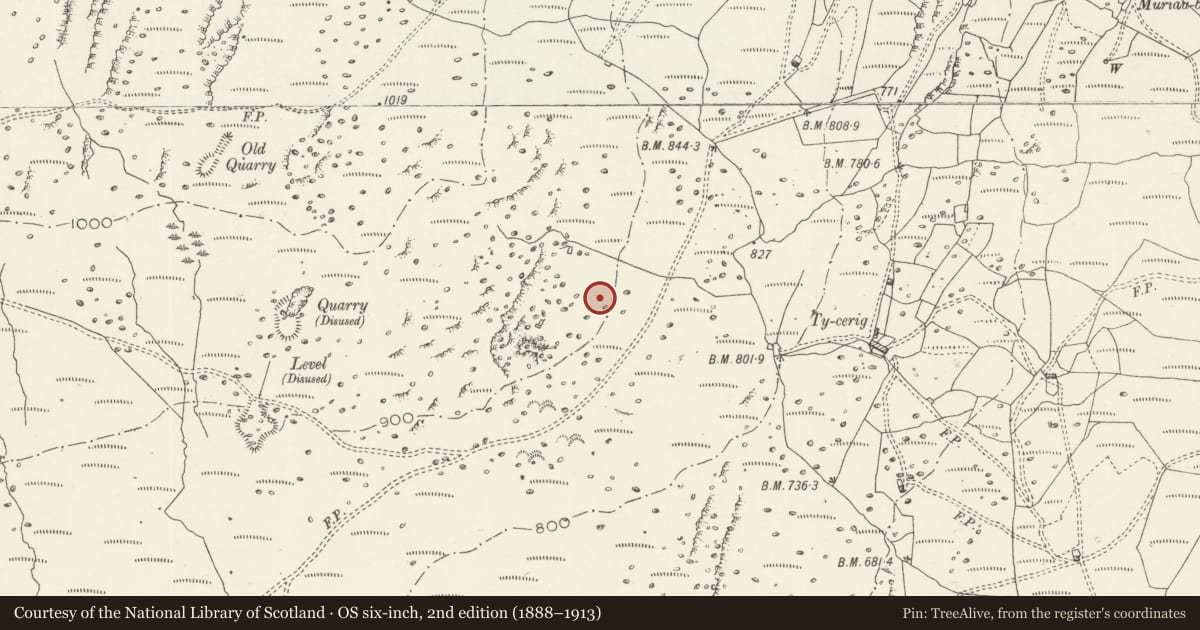 Ordnance Survey six-inch map, 2nd edition (1888–1913) covering the location of Cefn Clawdd Early Settlement and Fields, Trawsfynydd, Gwynedd, with a pin at the register's coordinates