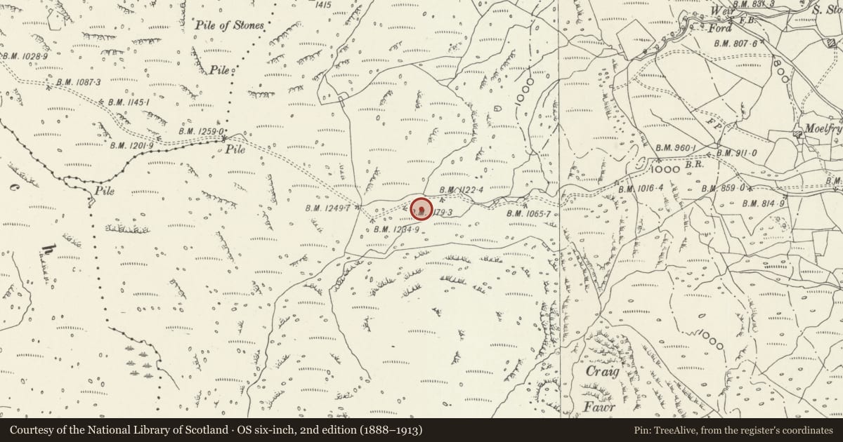 Ordnance Survey six-inch map, 2nd edition (1888–1913) covering the location of Hut Circle 800m West of Moelfryn-Isaf, Trawsfynydd, Gwynedd, with a pin at the register's coordinates