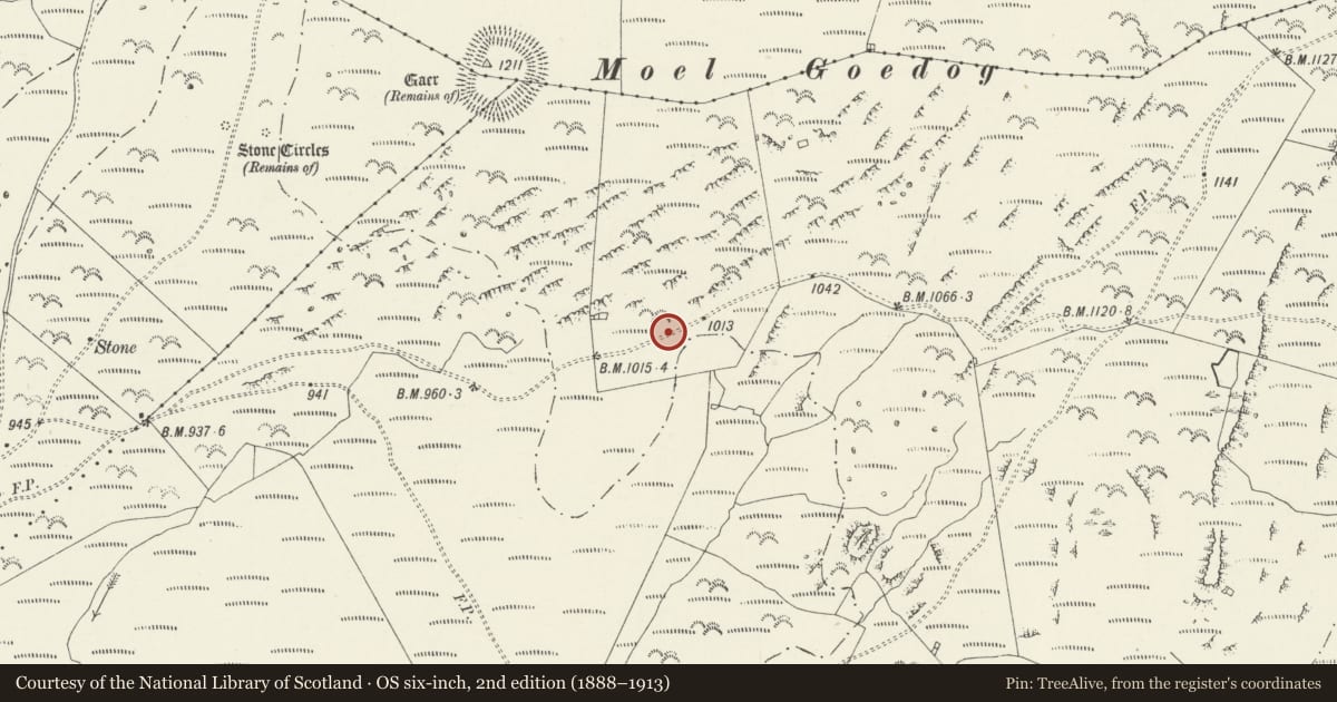 Ordnance Survey six-inch map, 2nd edition (1888–1913) covering the location of Settlement 400m SE of Moel Goedog, Llanfair, Gwynedd, with a pin at the register's coordinates