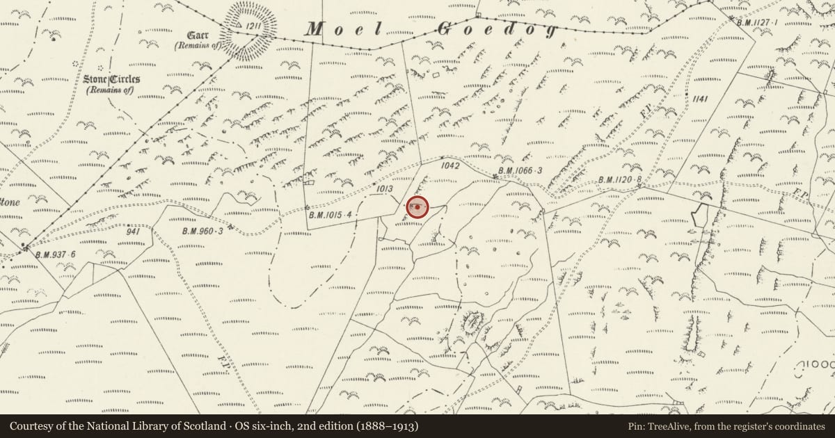 Ordnance Survey six-inch map, 2nd edition (1888–1913) covering the location of Settlement 500m SE of Moel Goedog, Llanfair, Gwynedd, with a pin at the register's coordinates