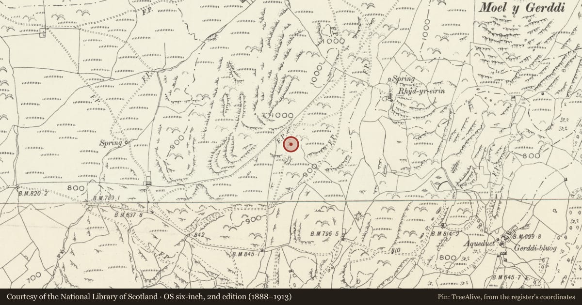Ordnance Survey six-inch map, 2nd edition (1888–1913) covering the location of Bedd Gorfal Ring Cairn, Llanfair, Gwynedd, with a pin at the register's coordinates