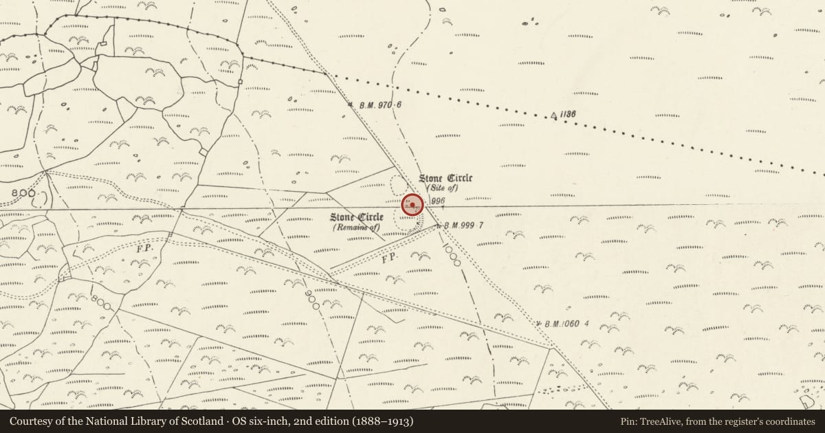 Ordnance Survey six-inch map, 2nd edition (1888–1913) covering the location of Hengwm Stone Circles, Dyffryn Ardudwy, Gwynedd, with a pin at the register's coordinates