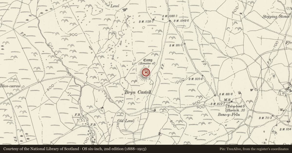 Ordnance Survey six-inch map, 2nd edition (1888–1913) covering the location of Fortified Settlement at Bryn Castell, Llanelltyd, Gwynedd, with a pin at the register's coordinates