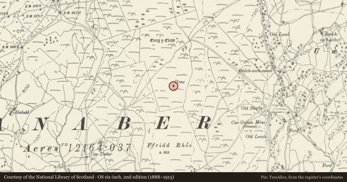 Ordnance Survey six-inch map, 2nd edition (1888–1913) covering the location of Standing Stone S of Cerrig-y-Cledd, Barmouth, Gwynedd, with a pin at the register's coordinates